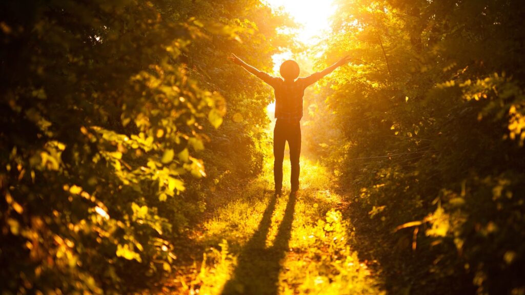 Intensive Outpatient Program Benefits