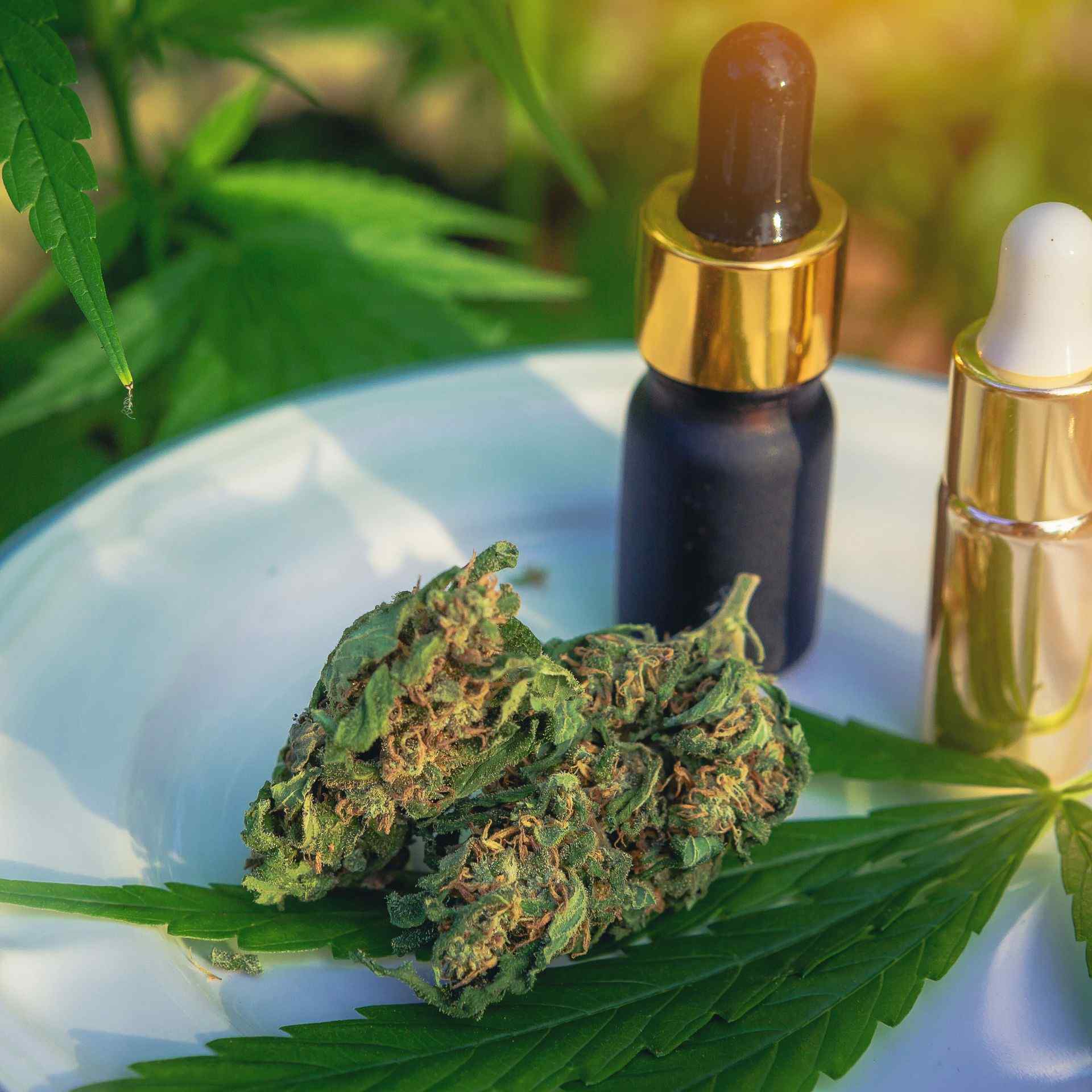 Cannabis use disorder
