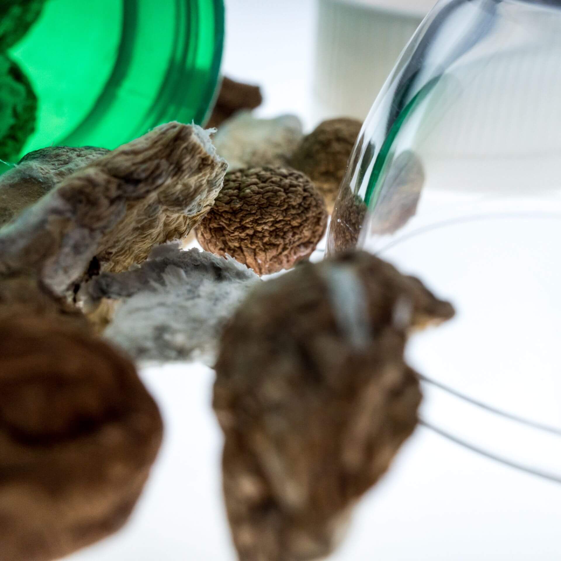 What Is Hallucinogen Addiction?