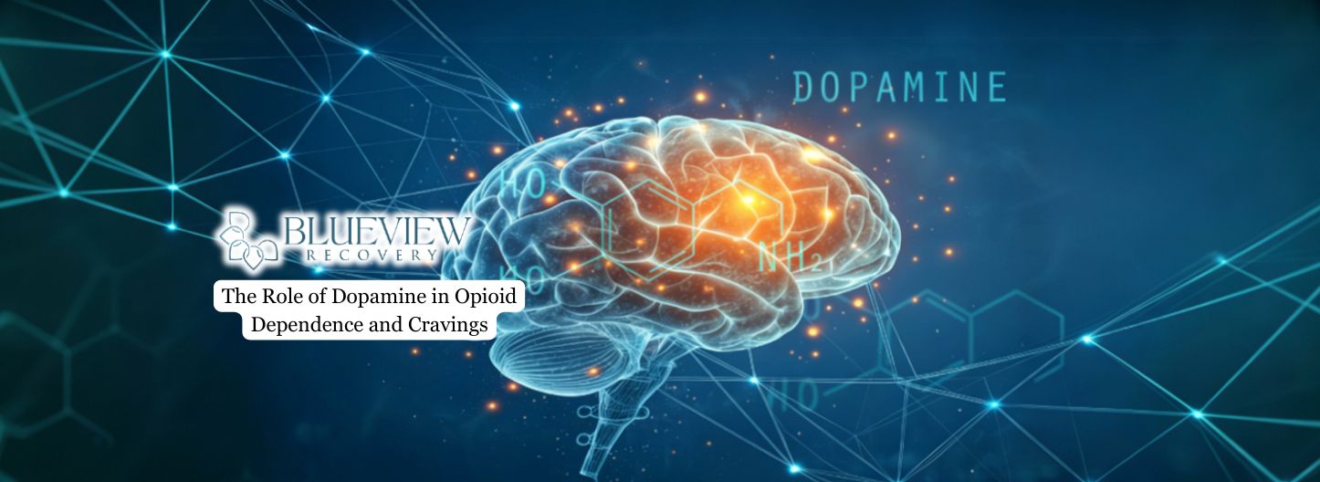 The Role of Dopamine in Opioid Dependence and Cravings