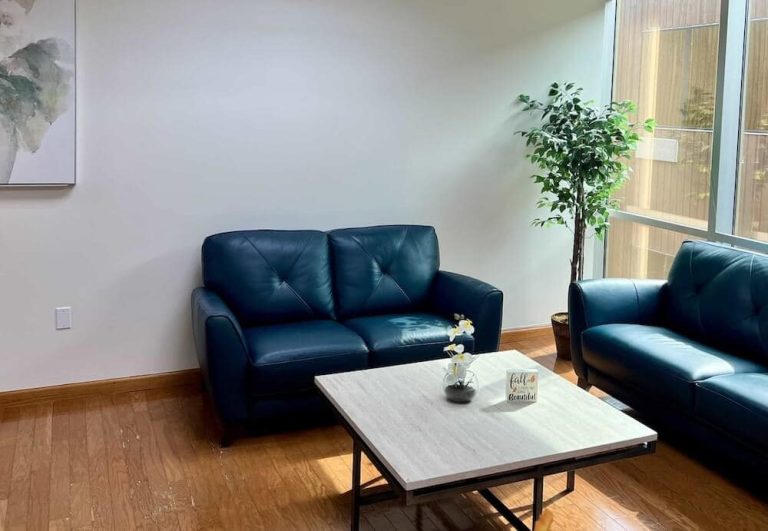 Blueview therapy lounge with blue sofas, coffee table, and natural light from large windows.