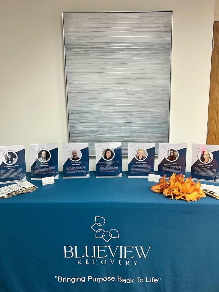 Blueview Recovery information table displaying clinician profiles and brochures.