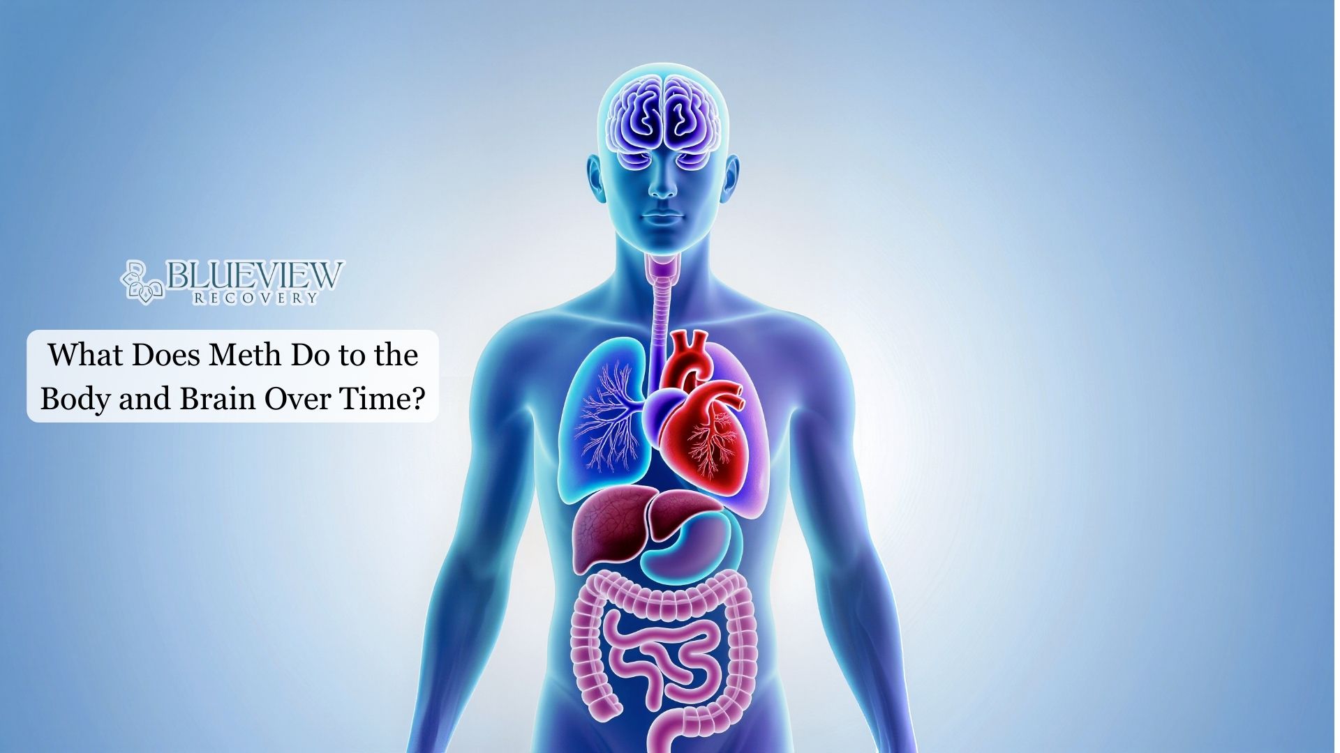 What Does Meth Do to the Body and Brain Over Time