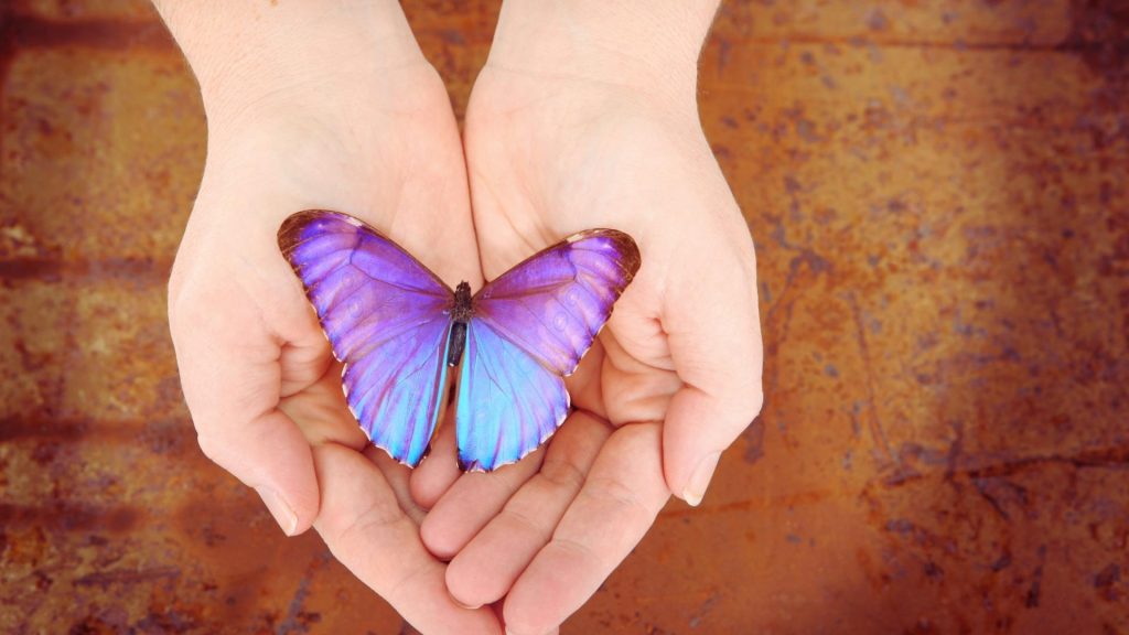 What Are Relapse Prevention Models and How Do They Work? 1 Hands holding butterfly symbolizing growth and early recovery supported by relapse prevention models.